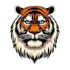 Team Page: Tillicum Tiger Whiskers